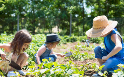 Childrens Gardening Ideas